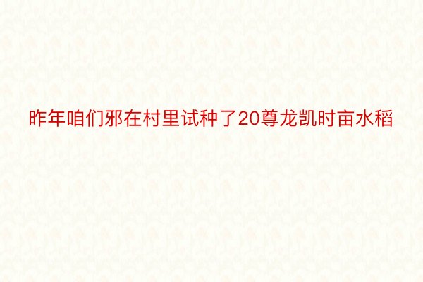 昨年咱们邪在村里试种了20尊龙凯时亩水稻