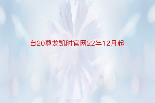 自20尊龙凯时官网22年12月起