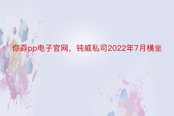 你孬pp电子官网，钝威私司2022年7月横坐