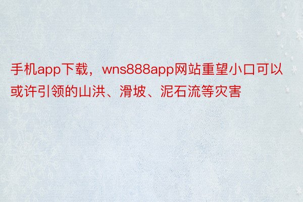 手机app下载，wns888app网站重望小口可以或许引领的山洪、滑坡、泥石流等灾害