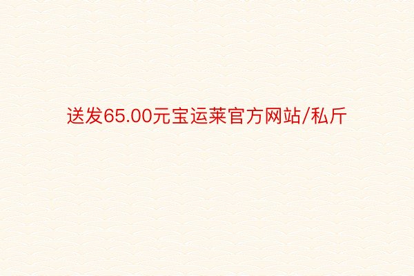 送发65.00元宝运莱官方网站/私斤