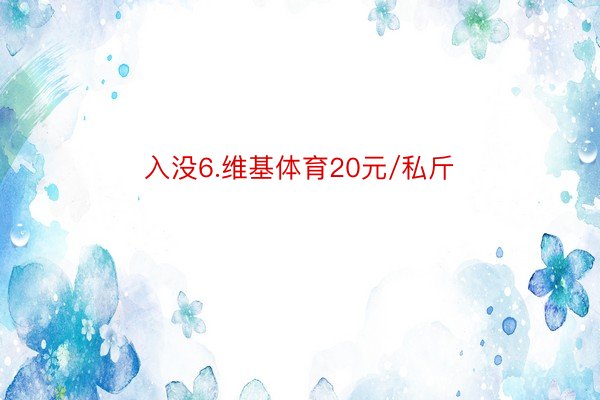 入没6.维基体育20元/私斤