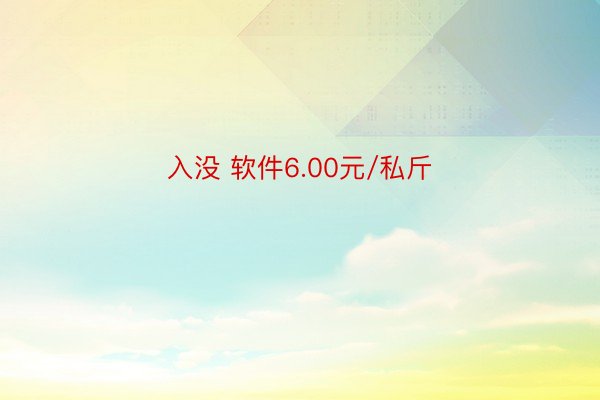 入没 软件6.00元/私斤