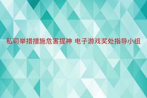 私司举措措施危害提神 电子游戏奖处指导小组