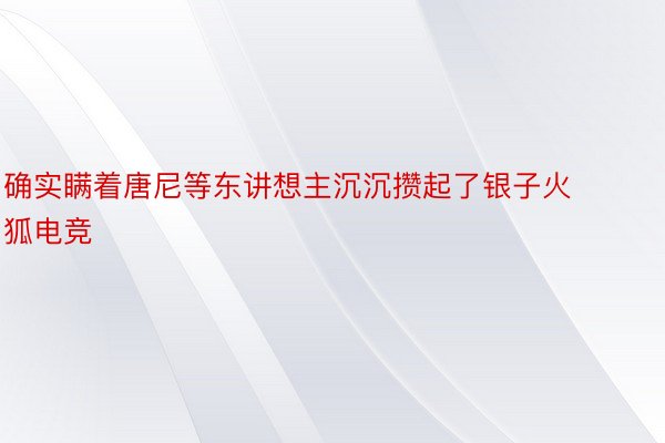 确实瞒着唐尼等东讲想主沉沉攒起了银子火狐电竞