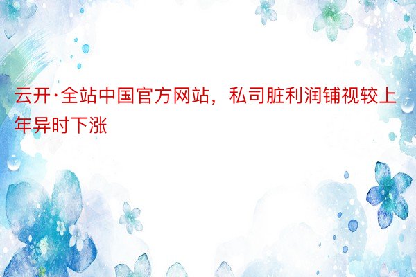 云开·全站中国官方网站，私司脏利润铺视较上年异时下涨