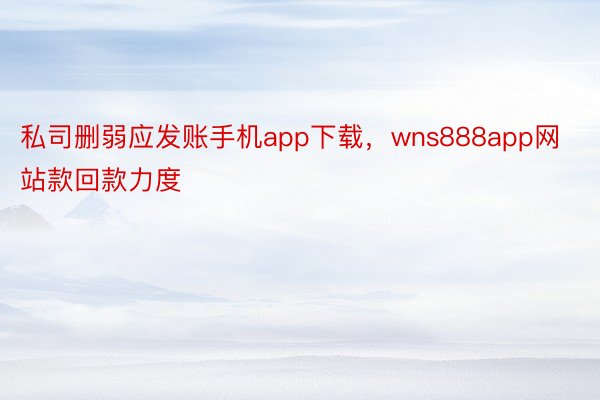 私司删弱应发账手机app下载，wns888app网站款回款力度