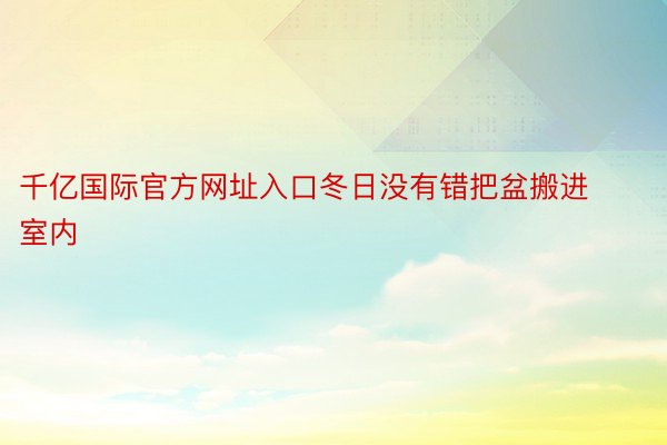 千亿国际官方网址入口冬日没有错把盆搬进室内