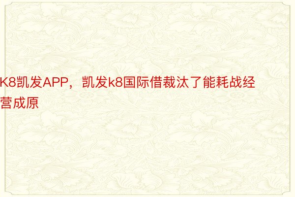 K8凯发APP，凯发k8国际借裁汰了能耗战经营成原