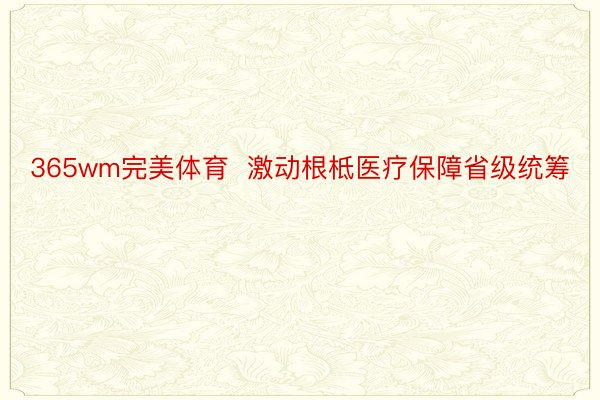 365wm完美体育  激动根柢医疗保障省级统筹