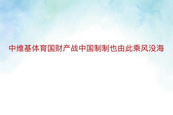 中维基体育国财产战中国制制也由此乘风没海