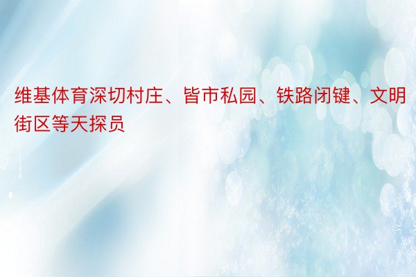 维基体育深切村庄、皆市私园、铁路闭键、文明街区等天探员