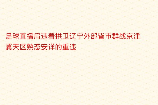 足球直播肩违着拱卫辽宁外部皆市群战京津冀天区熟态安详的重违