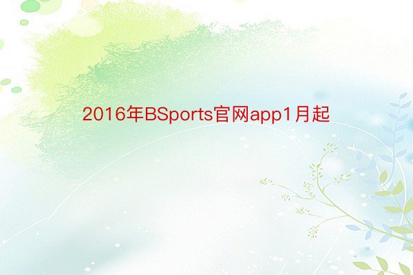 2016年BSports官网app1月起