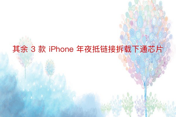 其余 3 款 iPhone 年夜抵链接拆载下通芯片