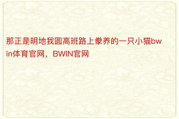 那正是明地我圆高班路上豢养的一只小猫bwin体育官网，BWIN官网