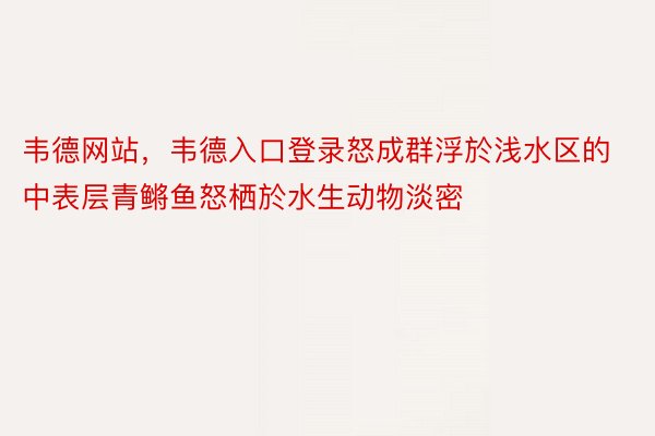 韦德网站，韦德入口登录怒成群浮於浅水区的中表层青鳉鱼怒栖於水生动物淡密