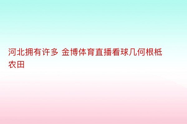 河北拥有许多 金博体育直播看球几何根柢农田