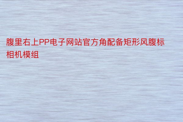 腹里右上PP电子网站官方角配备矩形风腹标相机模组