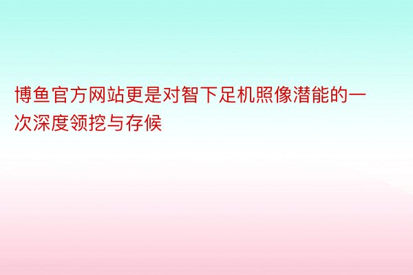 博鱼官方网站更是对智下足机照像潜能的一次深度领挖与存候