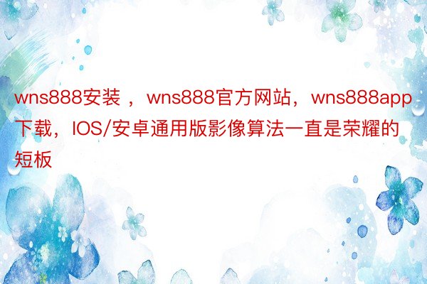 wns888安装 ，wns888官方网站，wns888app下载，IOS/安卓通用版影像算法一直是荣耀的短板