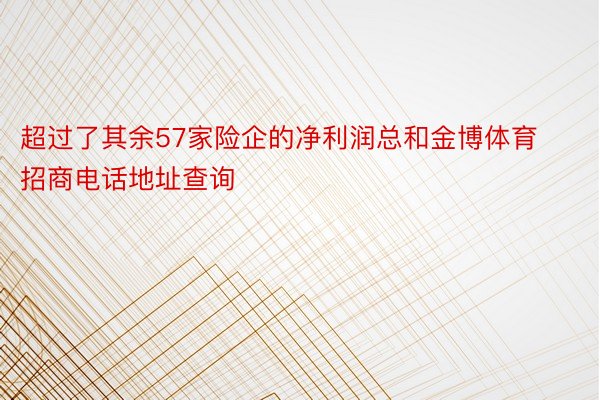 超过了其余57家险企的净利润总和金博体育招商电话地址查询