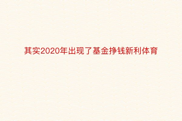 其实2020年出现了基金挣钱新利体育