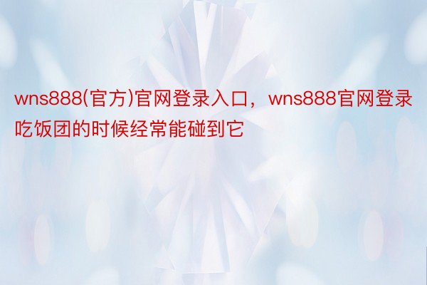 wns888(官方)官网登录入口，wns888官网登录吃饭团的时候经常能碰到它