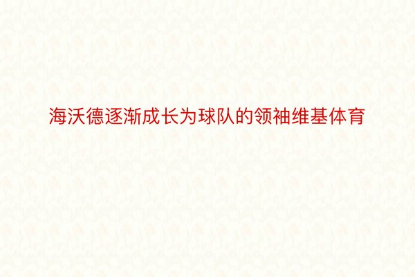 海沃德逐渐成长为球队的领袖维基体育